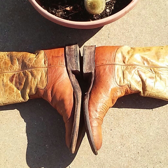 Vintage Mens Smooth Ostrich Boots main image 8